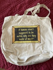 TOTE BAG Grocery Store, Books, Laundry, Dual Handles, Canvas Carrying Case EUC