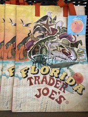Trader Joe’s State Bag FLORIDA Reusable Travel Shopping Tote Bag * FREE SHIP!