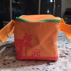 Trader Joe’s Mini Insulated Bag Zipper Orange Green Red 1.5 gal 10x6x5