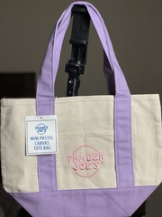 Trader Joe’s Mini Pastel Canvas Foldable Small Tote Bag Set of 4 Multicolor
