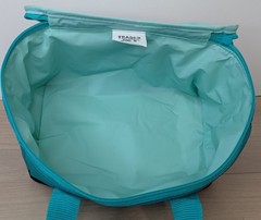 Trader Joe’s Small Insulated Tote Bag – Color Teal