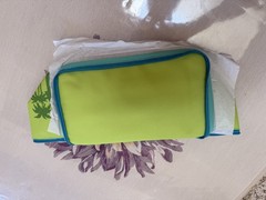 Trader Joe’s 2026 Mini Insulated Cooler Bag Green Palm Limited Edition NWT