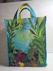 Fish Lover Reusable Carry Tote Bag Small 6.75x9x11.25″ Washable Tropical Ocean