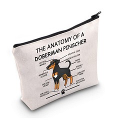 LEVLO Funny Doberman Pinscher Lovers Gifts The Anatomy of A