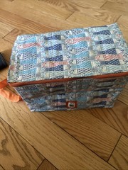 WWF World Wild Life Fund Blue Freezer Tote Bag Insulated Fish Design 7”x10”