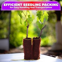 Freshness Assured: 100 Nylon Mesh Bags for Fruits, Veggies, and Seafood Cooking