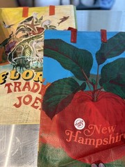Trader Joes Mystery Bags 8 Count