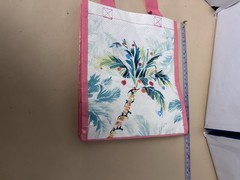 Small Plastic Reusable bag with Christmas Palm tree unbranded