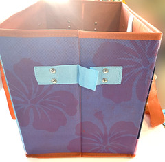 Limited Edition New Trader Joe’s Stand Up Collapsible Reusable Shopping Bag
