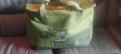 TRADER JOE Large Insulated Reusable Lime Green Tote Bag 8 Gallon