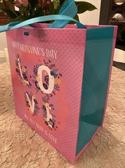 🌷 Happy Valentine’s Day LOVE PINK Red Aqua Gusset ￼Spring time shopping tote 🌷