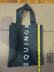 Equinox Gym Grey Reusable Shopping Tote Bag Small 11” x 9″ New Retail Bag Nice