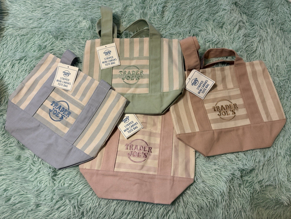 Trader Joe’s Mini Canvas Tote Bag Striped Multicolor 12x10x12 in New