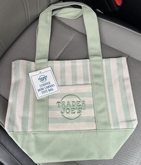 Trader Joe’s Mini Pastel Stripe Canvas Tote Bag Green Mint SHIPS TODAY!
