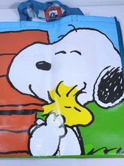 Peanuts New Snoopy & Gang Reusable Shopping Bag Grocery Travel Bag
