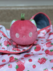 TeeTurtle Strawberry Cat Foldable Reusable Bag W/ Small Storage Pouch