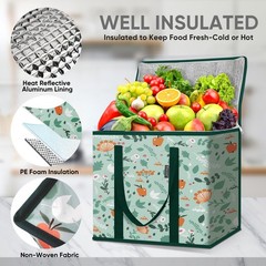 BALEINE 2Pk Insulated Reusable Grocery Bags, 2 Pack, Spring Stroll