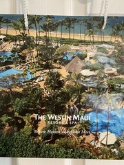 The Westin Maui Resort & Spa Vintage Shopping Bag Disposable Bag 13″x10″