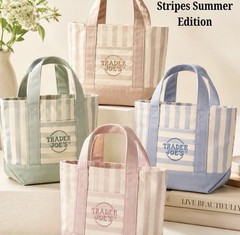 Trader Joe’s Striped Mini Canvas Tote Bag, Stripe Canvas, beige, blue, & green