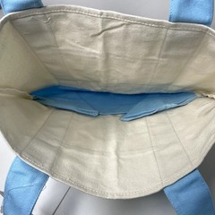 LOT Set of 2 — Trader Joe’s Canvas MINI Spring Tote Bags — Pastel Green + Blue!!