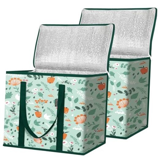 2Pk Insulated Reusable Grocery Bags – Collapsible Cooler – 2 Pack Spring Stroll