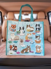 Cats & Kittens Reading Books Reusable Shopping Bag 19″x18″ NEW