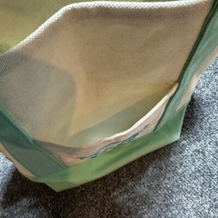 NEW Trader Joes Mini Tote Bag Pastel Mint Green Canvas Handles 2025 Limited