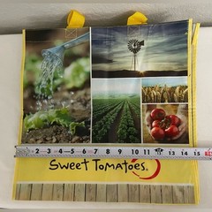 Sweet Tomatoes Souplantation reusable plastic bag 15×15 NWT