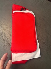Trader Joe’s Red Mini Insulated Lunch Bag 1.5 gallons