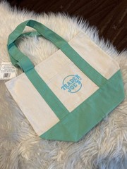 NWT Trader Joe’s Mini Pastel Canvas Tote Bag Mint Green Reusable