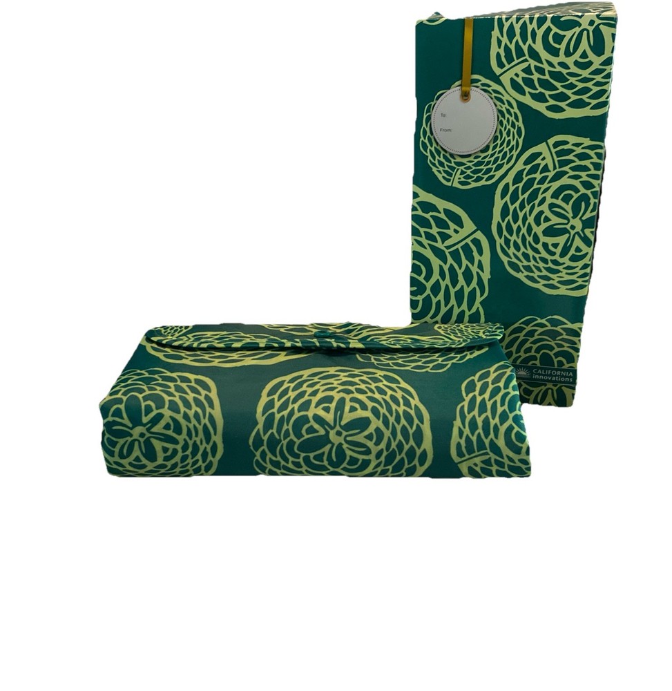 California Innovations Insulated Tote Bag with Gift Box NEW Green/Light Green