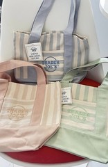 Trader Joe’s Mini Canvas Tote Bag Striped Multicolor 13x6x10 in New