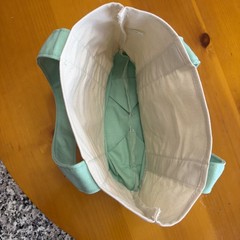 trader joes mini tote pastel Teal