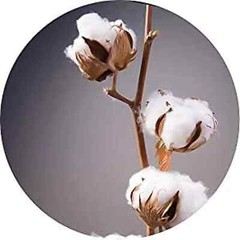 Double Drawstring Organic Cotton Muslin Bags – Premium Quality – Natural Color