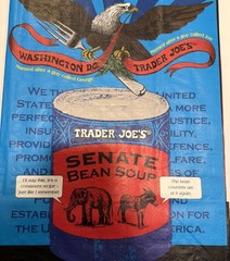1 Washington DC Trader Joe’s & Everyday Reusable Shopping Tote Bag 6 Gallon NWT