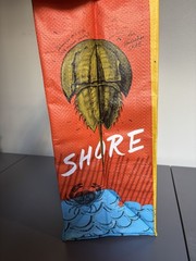 Trader Joe’s Reusable State Shopping Bag Lot Of 4 South Carolina Delaware 2 Ohio