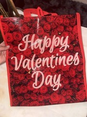 Foldable Red Plastic Reusable Shopping Bag All-Over Roses Pattern Valentines Day