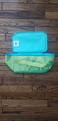 1 Trader Joe’s 2026 Mini Insulated Tote Summer Fun Ltd Ed Green