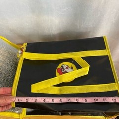 Buc-ee’s Reusable Thermal Bag