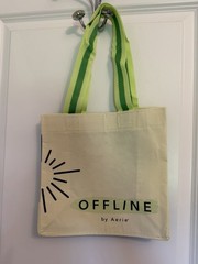 Aerie OFFLINE Reusable Shopping Tote Bag Small Green/Beige Colorblock 10×10