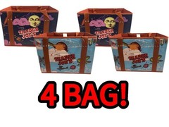 (4 Bags) NEW Trader Joe’s Stand-Up Collapsible Grocery Tote Bag