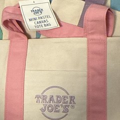 Trader Joe’s Mini Pastel Canvas Tote Foldable Colorblock Small Multicolor Bag