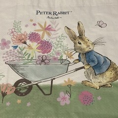 Tesco Peter Rabbit Tote Bag Beatrix Potter Bunny 2023 Home Grown Butterfly New