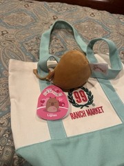 99 Ranch Market Canvas Mini Tote Bag Aqua/Pink with Plush Keychain