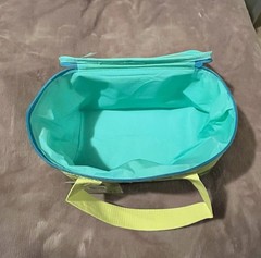 Trader Joe’s 2026 Mini Insulated Tote Summer Fun Ltd Edition Green New