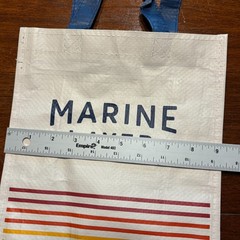 Marine Layer Reusable Tote Plastic Shopping Gift Bag SF CA 9″x12″