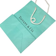 Medium Tiffany & Co Reusable Shopping Bag Gift Bag 8 x 9.75 x 4