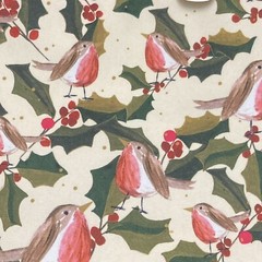 Tesco Caroline Gardner Robin Christmas Tote Bag Holly Eco Gift Shopper New