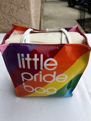 Collectable Bloomingdale’s “Little Pride Bag” Rainbow Reusable Plastic Tote
