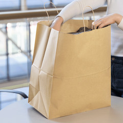 Karat Newport Paper Shopping Bag with Twisted Handles – 150 ct, FP-SB140